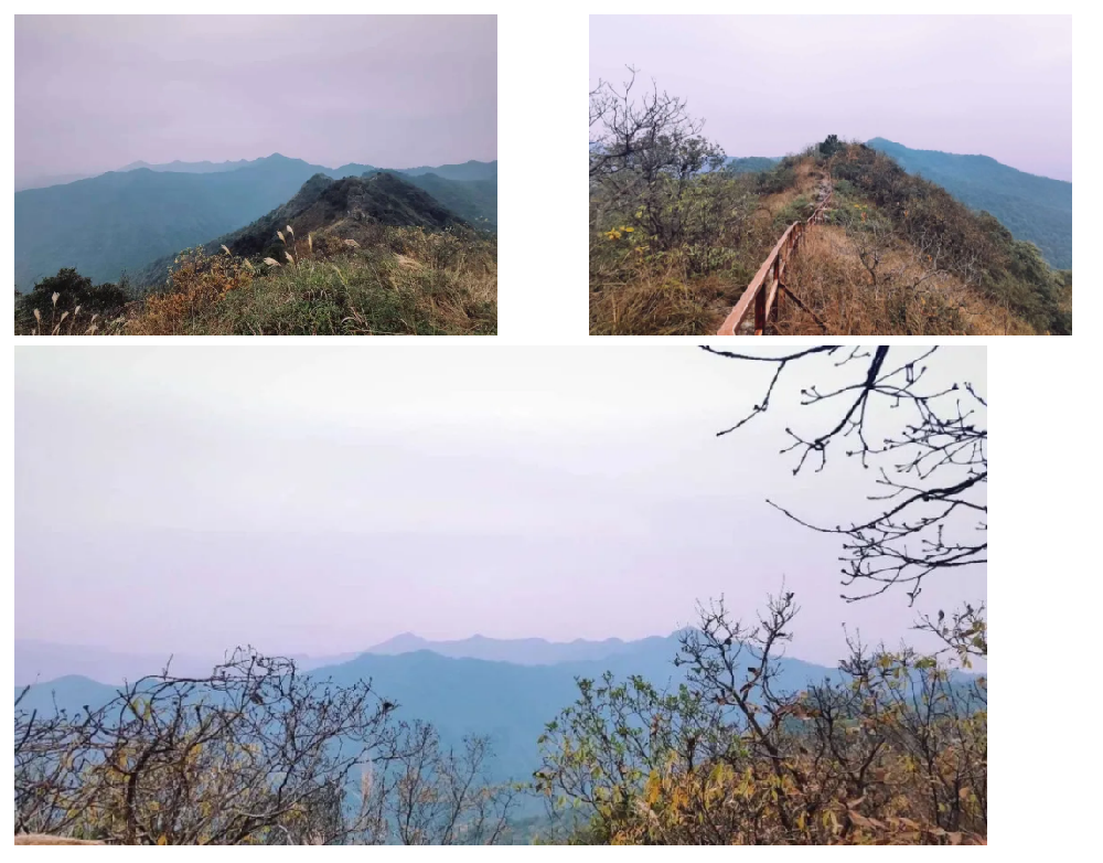 首页| w66集团中国最老牌官方网站