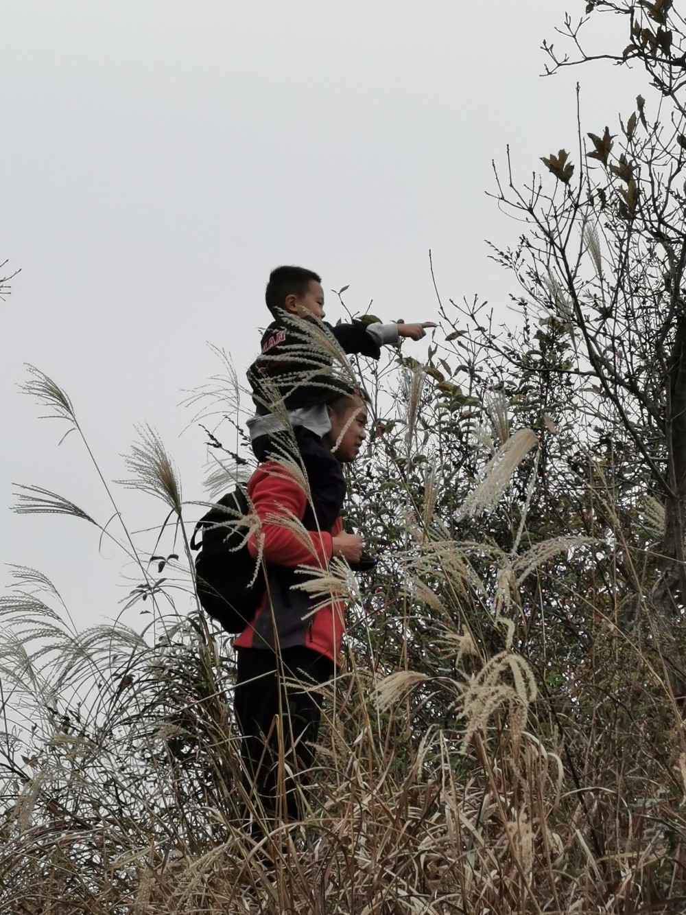 首页| w66集团中国最老牌官方网站