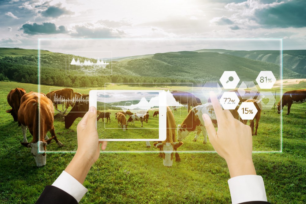 首页| w66集团中国最老牌官方网站