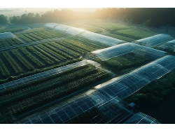 首页| w66集团中国最老牌官方网站