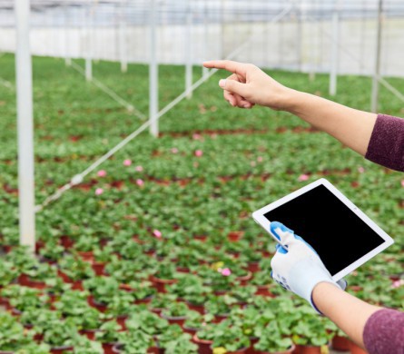 首页| w66集团中国最老牌官方网站