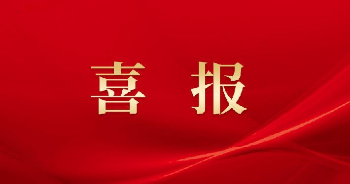 image_1736920925_6071_710x374_4